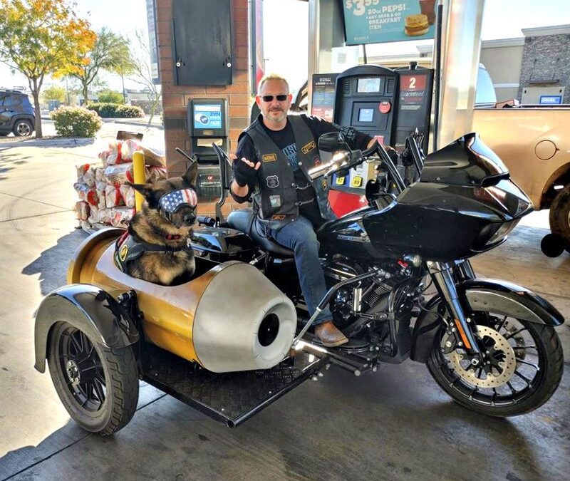 Motorcycle Side Car